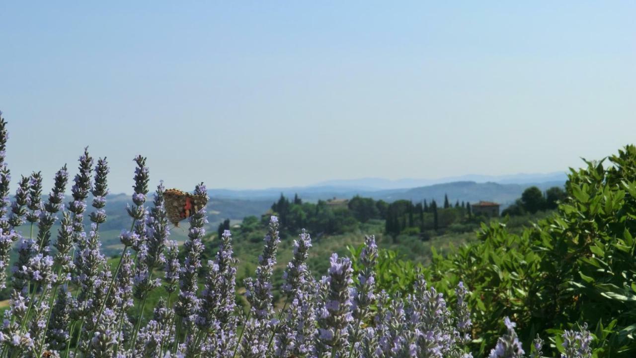 Appartamenti Ava E Tegrino Nell'Antica Dimora Di Fulignano San Gimignano Exterior photo