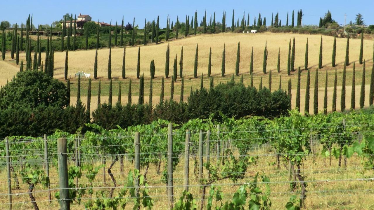 Appartamenti Ava E Tegrino Nell'Antica Dimora Di Fulignano San Gimignano Exterior photo